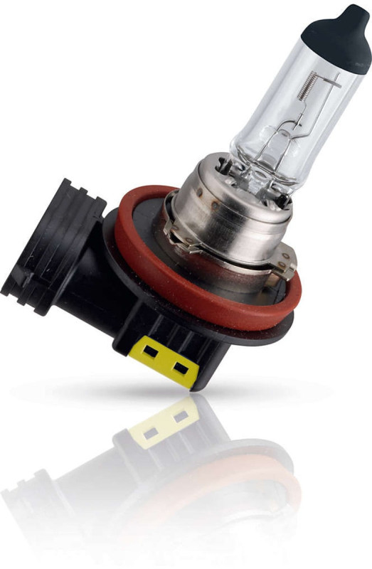 H11 Longlife pære fra Philips